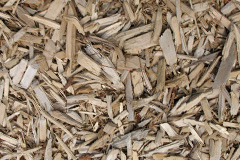 biomass boilers Kirtleton