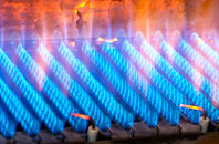 Kirtleton gas fired boilers
